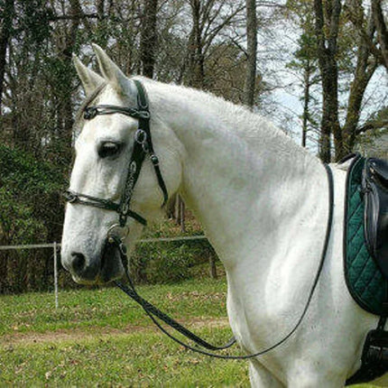 Ergonomic PU Leather Horse Halter & Lead Rope Set