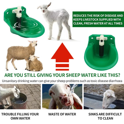 Automatic Sheep & Goat Watering Bowl