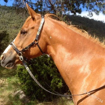 Ergonomic PU Leather Horse Halter & Lead Rope Set